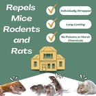 12 Pack Vamoose Natural Rodent