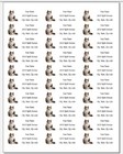 150 Cute Calico Cat Mailing Return Address Labels Personalized  1 X 2 5 8 In 