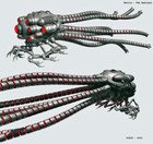 Crinoid  Jimbacrinus Bostocki   Late Permian 260 Million  The Matrix 