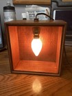 Vintage Multipurpose Darkroom Safe Light 