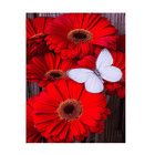 Red Daisy Diamond Painting Art Kit  5d  Full Drill  Round 35 45cm Us Seller