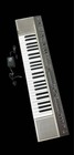Yamaha Ps-55 Keyboard Synthesizer     Used  Fully Functional 