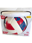 Wilson Hawaii Avp Malibu Outdoor Volleyball With Disc