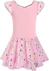 Girls Ballet Leotards With Skirt Toddler Dance Dress 40431-08-m 