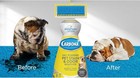 Pet Stain Odor Remover Shampoo Oxy Power Heavy Duty Dog Cat Grease Urine