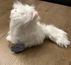 Ganz Webkinz Persian Cat Hm110 New Sealed Code Retired Stuffed Animal Plush