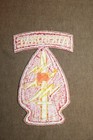 Original Vietnam War Era U s  Army Variation Special Forces Airborne Patch