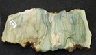 Polished Petrified Swamp Bog Wood Slab Mcdermitt  Oregon  7 5  X 2 5  X  75 