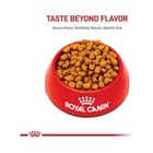 Royal Canin Breed Health Nutrition Shih Tzu Adult Dry Dog Food  10-lb Bag
