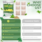 All Natural Peppermint Oil Mouse Repellent Pest Control 10 Pack Rodent Mice Rat