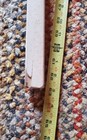 Vintage Louisville Mvp Messier Wooden Senior Right Handed Hockey Stick  