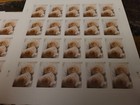 100 Forever Stamps 5 Sheets Of 20 White Rose Wedding Shower Invitations Usps Us