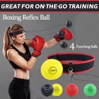 Boxing Fight 4 Balls With Head Band For Reflex Speed Training Punching Exercise