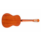 Cordoba Iberia C3m Classical Nylon-string Acoustic Guitar  Solid Cedar Top