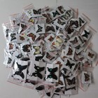 40 Mixed Real Butterfly Specimens Pre-spread A1-a- Grade Diy Craft Collection