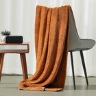 Plush Fleece Throw Blanket For Couch And Bed  Fluffy Fuzzy Cozy Soft Blankets   