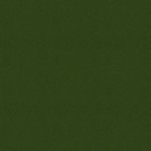 Automotive Paint For Nissan D13  Canteen Metallic