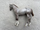 Rare Stunning Breyer Peter Stone Horse    petite Sirah    Mulberry Grey Weanling Sr