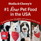 Stella   Chewy s Freeze-dried Raw Beef Meal Mixers- Dog Food Topper And Mixer