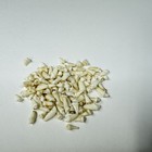 Lot Of 100 Assorted Small Coyote Teeth Real Cleaned Taxidermy Weird Goth  2481