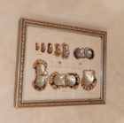 Vintage Growth Of The Cultured Pearl Framed Display 1 Month-3 Years W 5 Pearls