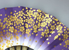 Japanese Folding Fan Kyoto Traditional Sensu Ougi Sakura Cherry Blossom Purple