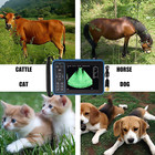 Vet Ultrasound System  Portable Vet Ultrasound Machine Scanner For Pig Horse