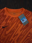 Nike Women s Dri Fit Gardien V Soccer Goalkeeper Gk Jersey Orange - Womens M