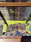 Antique Counter Top Store Display Cabinet With Mini Animal Figurines