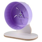 Small Animal Exercise Wheels Pet Training Hamster For Kids Car