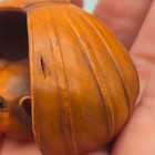 Vintage Japanese Hand Carved Boxwood Bat Netsuke Sculpture Bead Artisan Signed