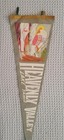 Vintage 1960s Heavenly Valley Lake Tahoe Pennant Very Rare Ski Historical  Piece