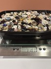 Buttons Lot New   Vintage Antique Sewing Craft Notions As Pictured Almost 2 Lbs