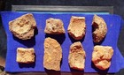 8 Large Civil War Various Exploded Artillery Shell Fragments Nashville  Tn Z