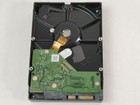 Western Digital Apple Wd10ezes 1 Tb Sata Iii 3 5 In Desktop Hard Drive