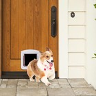 Pet Flap Door Dog Cat Square Gate Weatherproof 4 Way Locking Flap Clear Door 
