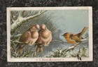Victorian Christmas Card Pair Mourning Doves   Small Bird In Winter 6 X 3 5