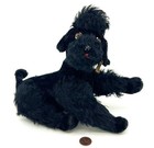Steiff Snobby Poodle Us Zone 1947 Black Mohair Id Button Tags 22cm 9in Jointed