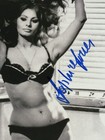 Sophia Loren Autographed Signed 8x10 Photo Bas Coa Hot Sexy 