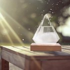 Weather Storm Glass Bottle Drop Creative Stylish Weather Station Forecaster
