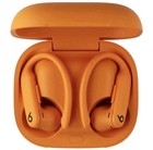 Beats By Dr  Dre Powerbeats Pro 2 True Wireless Ear-hook Earbuds Case Orange