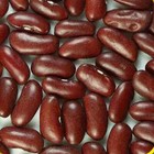 Dark Red Kidney Bush Bean Seeds  Baked Beans And Chili  Non-gmo   Free Shipping