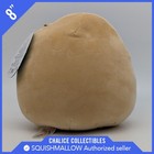 Squishmallow Kellytoy Perfect Pair 8  Deja The Donut Plush Nwt New Single