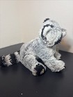 Ganz Webkinz Raccoon Hm143 Plush Stuffed Animal New With Sealed Unused Code Nwt