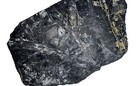 Slate Rock Fossil With Leaf Imprints 12    669 Grams