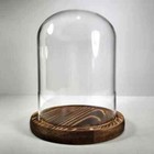 Glass Display Dome  Glass And Wood Cloche  Oddities Display Case