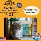 Catnip Cat Nip Blend   Premium Canadian Catnip Bulk Strong Cat Nip For Cats  