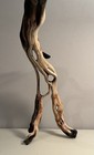 Manzanita Driftwood  Reptile Tank Decor   Aquascape  Terrarium  Aquarium Wood