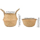 Woven Seagrass Belly Basket For Storage Plant Pot Basket And Laundry Picnic And