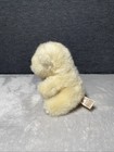 Vintage Applause Cream Teddy Bear Plush Brown Nose Sitting 5    Soft Toy Pet Lovey